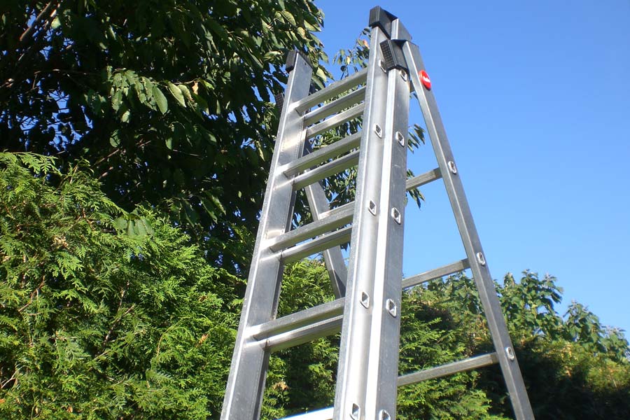 Obere einer Klappleiter vor einer Hecke